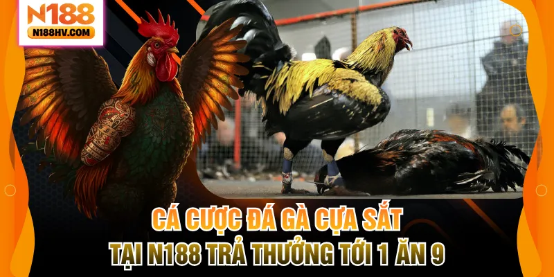 Cá Cược Đá Gà Cựa Sắt Tại N188 Trả Thưởng Tới 1 Ăn 9