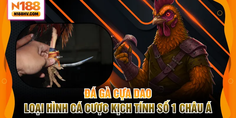 Đá Gà Cựa Dao – Loại Hình Cá Cược Kịch Tính Số 1 Châu Á