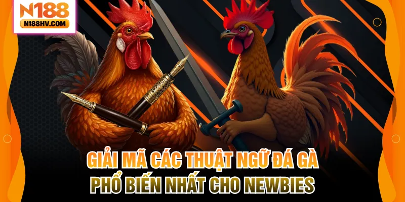 Giải Mã Các Thuật Ngữ Đá Gà Phổ Biến Nhất Cho Newbies