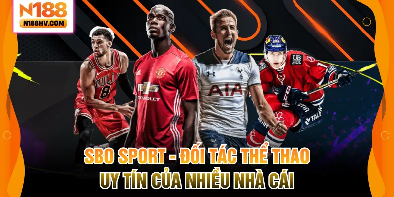 SBO Sport – Đối Tác Thể Thao Uy Tín Của Nhiều Nhà Cái